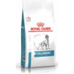 Croquettes Royal Canin Veterinary Diet pour chien 