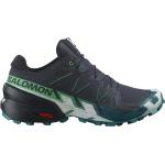 Chaussures trail Salomon Speedcross 5 noires Pointure 40 pour homme 