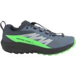 Salomon - Sense Ride 5 GTX - Chaussures de trail - UK 12,5 | EU 48 - flint stone / black / green gecko