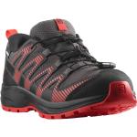 Salomon Xa Pro V8 Cswp Hiking Shoes Noir EU 36