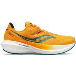 Saucony Triumph 20 - Chaussures running homme Gold / Palm 47