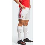 Shorts de football adidas blancs Benfica Taille L pour homme 