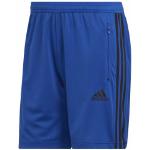 Shorts adidas Performance bleus Taille S look casual pour homme 