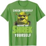 Shrek Check Yourself Before You Shrek Yourself T-Shirt