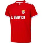 Maillots de sport rouges Benfica Taille XXL pour homme 