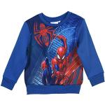 Sweatshirts bleus Marvel Taille 4 ans pour garçon de la boutique en ligne Amazon.fr 