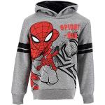 Sweats à capuche gris clair en polyester Marvel Taille 6 ans pour garçon de la boutique en ligne Amazon.fr 