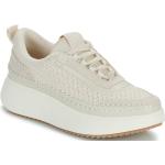 Baskets basses Steve Madden blanches Pointure 37 look casual pour femme 