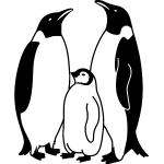 Autocollants Ambiance Sticker à motif pingouins 