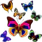 Décors muraux multicolores à motif papillons 