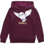Sweats à capuche en coton Harry Potter Hedwige pour bébé de la boutique en ligne Emp-online.fr 