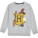 Sweatshirts gris Harry Potter Poudlard pour bébé de la boutique en ligne Emp-online.fr 
