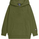 Sweats à capuche Champion verts look casual pour garçon de la boutique en ligne 3Suisses.fr 