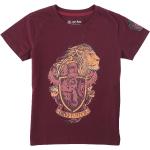 T-shirts à col rond rouge foncé en coton Harry Potter Harry pour bébé de la boutique en ligne Emp-online.fr 