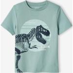 T-shirts à imprimés Vertbaudet vert menthe en coton à motif dinosaures Taille 12 ans pour garçon de la boutique en ligne Vertbaudet.fr 