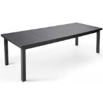 Oviala Business Table de jardin à rallonge en aluminium gris 12 places - gris aluminium 104160