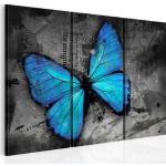 Tableaux sur toile Decoshop26 en bois à motif papillons 