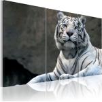 Tableaux sur toile blancs en bois à motif tigres 