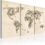 Meubles imprimé carte du monde 