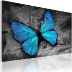 Tableaux sur toile Decoshop26 à motif papillons 