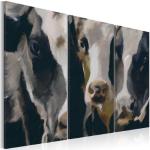 Tableaux sur toile Decoshop26 à motif vaches 