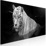 Tableaux sur toile noirs à effet tigré en bois à motif tigres modernes 
