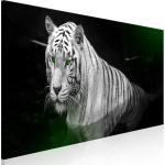 Tableaux sur toile verts à effet tigré en bois à motif tigres modernes 