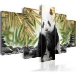 Tableaux sur toile noirs en bois à motif pandas modernes 