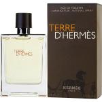 Terre D'Hermès - Hermès Eau De Toilette Spray 100 ml