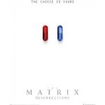 The Matrix: Resurrections The Choice Is Yours Poster