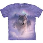 The Mountain T-Shirt Northern Lights X-Large