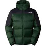 Vestes d'hiver The North Face vertes à capuche Taille XL look fashion pour homme en promo 