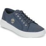 Baskets basses Timberland bleues Pointure 43 look casual pour homme 