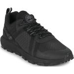 Baskets basses Timberland noires Pointure 41 look casual pour homme 