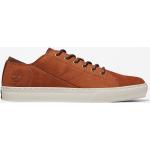 Chaussures basses Timberland Adventure marron look casual pour homme 