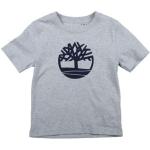 T-shirts à col rond Timberland gris clair en jersey Taille 6 ans pour fille de la boutique en ligne Yoox.com avec livraison gratuite 