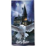 Draps de plage bleus en polyester Harry Potter Harry 70x140 