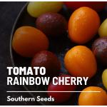 Set de graines de tomates PRADEMIR – 16 variétés de tomates