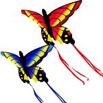 Cerfs-volants à motif papillons 
