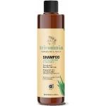Shampoings bio à l'aloe vera 250 ml pour cheveux secs 