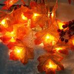 TRIXES Guirlande lumineuse d'automne en forme de feuille d'érable - Lumières LED d'Halloween - Lumières décoratives - Lumières d'automne