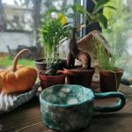 Tasses à thé turquoise en céramique 