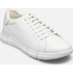 Chaussures Geox blanches en cuir Pointure 44 pour homme en promo 