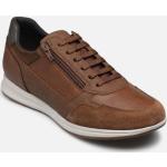 Chaussures Geox Avery marron en cuir synthétique en cuir Pointure 40 pour homme 