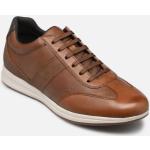 Chaussures Geox Avery marron en cuir synthétique en cuir Pointure 40 pour homme 