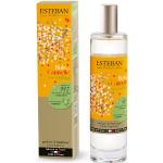 Parfums d'ambiance Esteban multicolores 