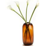Vases en verre Amadeus marron de 22 cm contemporains 