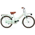 Vélos vert pistache en bambou à frein à rétropédalage enfant 20 pouces 