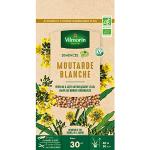 Vilmorin - Graines de Moutarde blanche BIO, sachet de 60 grs
