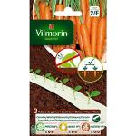 Graines de carotte Vilmorin 